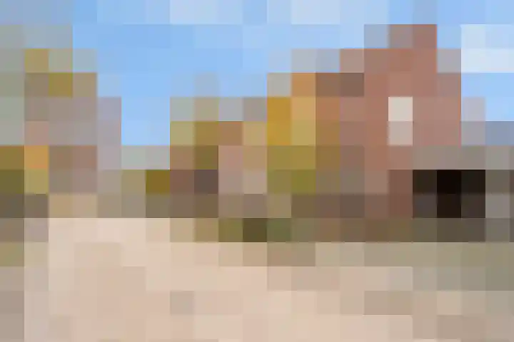 Melde 7 Udenhout thumbnail 40