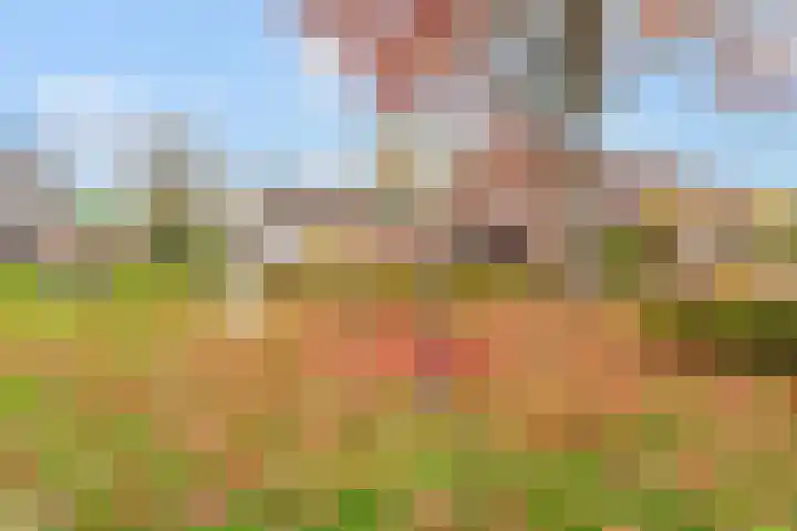 Melde 7 Udenhout thumbnail 42