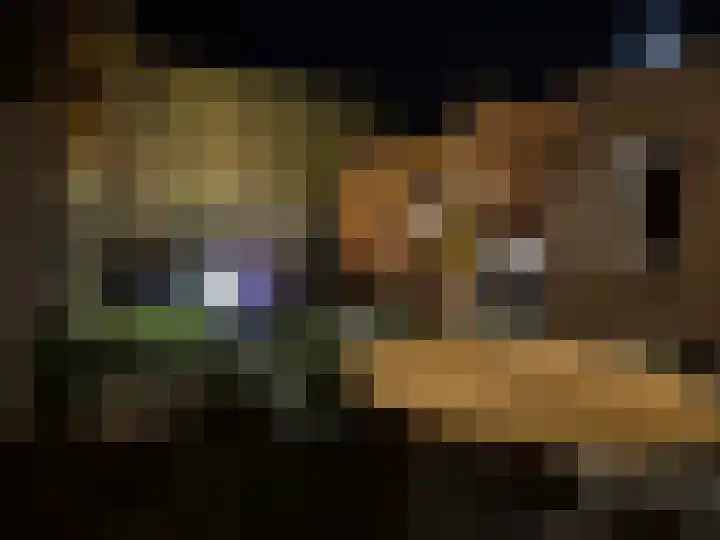 Melde 7 Udenhout thumbnail 43