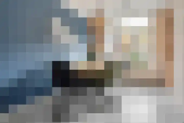 Melde 7 Udenhout thumbnail 9