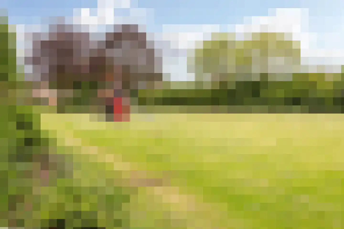 Melde 8 Best thumbnail 33