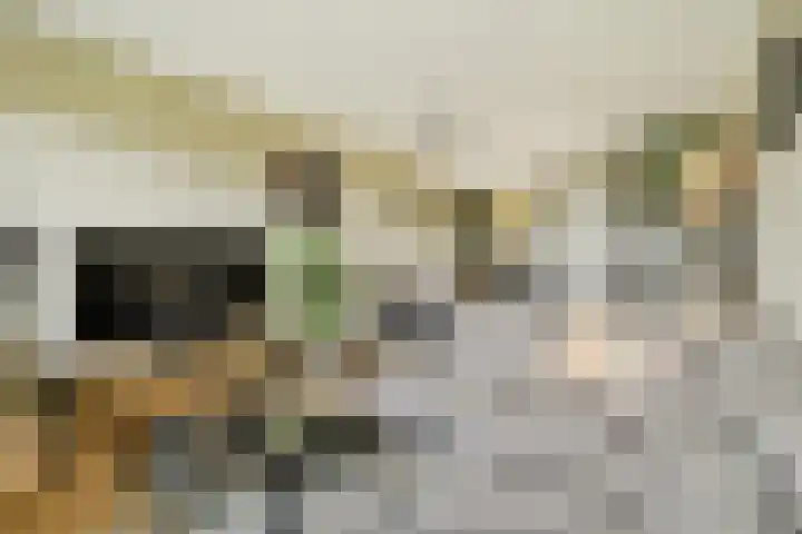 Melde 82 Uithoorn thumbnail 10