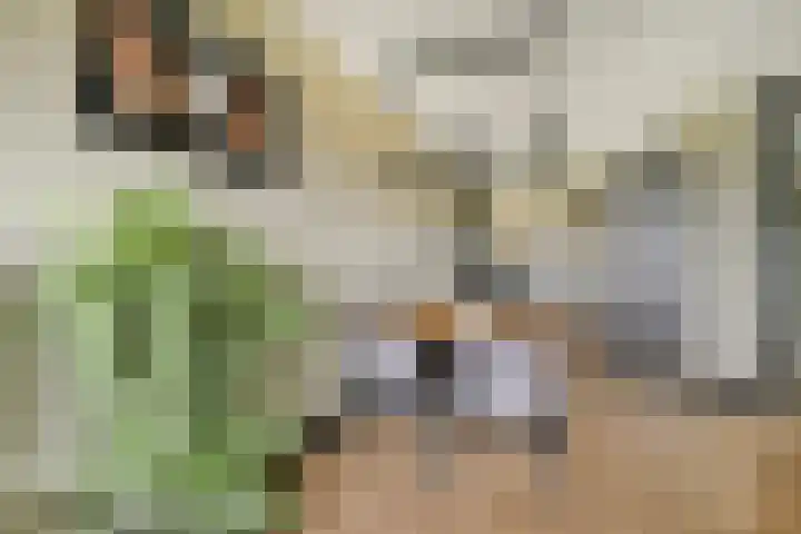 Melde 82 Uithoorn thumbnail 11