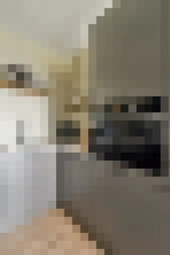 Melde 82 Uithoorn thumbnail 14