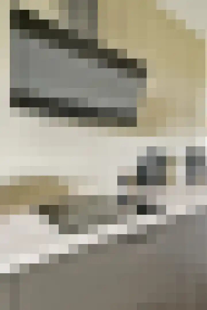 Melde 82 Uithoorn thumbnail 15