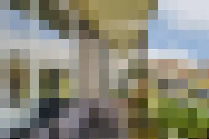 Melde 82 Uithoorn thumbnail 17