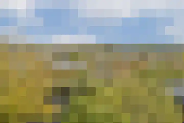Melde 82 Uithoorn thumbnail 18