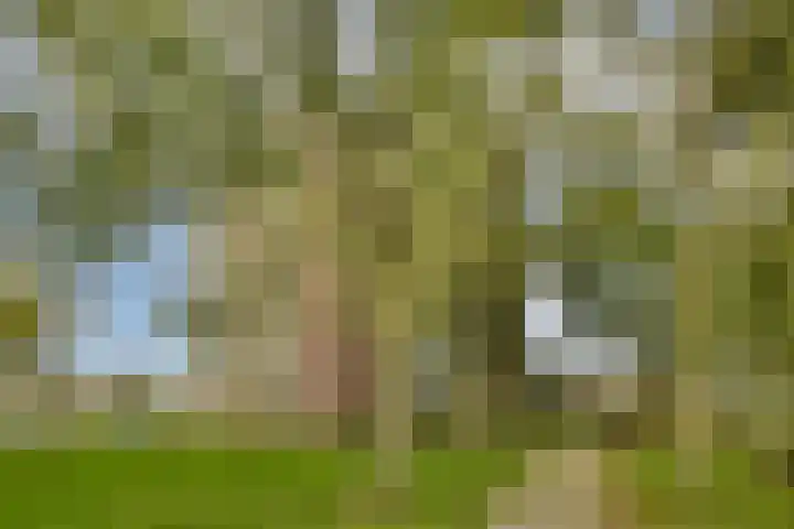 Melde 82 Uithoorn foto 2