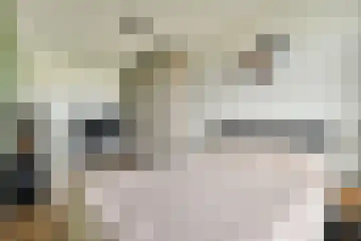 Melde 82 Uithoorn thumbnail 20
