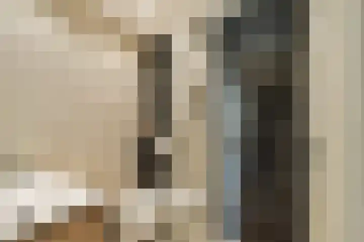 Melde 82 Uithoorn thumbnail 21