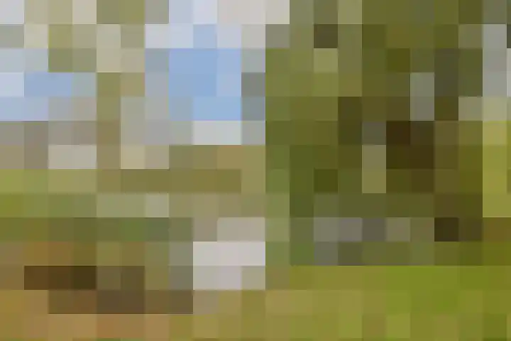 Melde 82 Uithoorn thumbnail 26