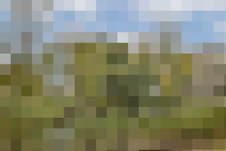Melde 82 Uithoorn thumbnail 27