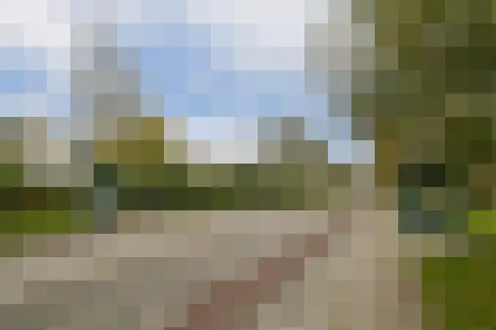 Melde 82 Uithoorn thumbnail 28
