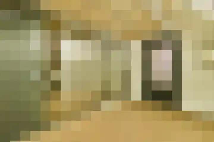 Melde 82 Uithoorn thumbnail 6