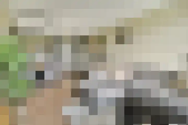 Melde 82 Uithoorn thumbnail 9