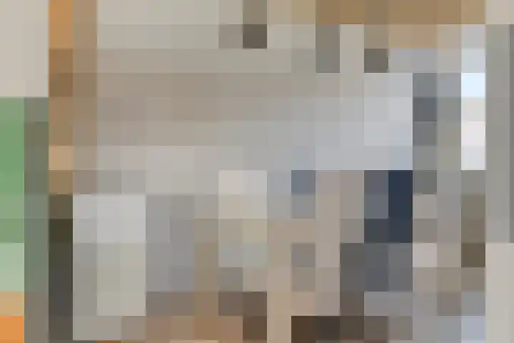 Meldedonk 23 Spijkenisse thumbnail 12