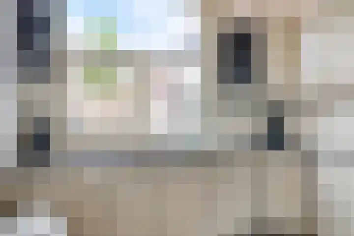 Meldedonk 23 Spijkenisse thumbnail 14