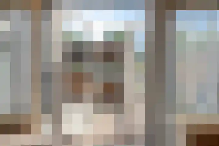 Meldedonk 23 Spijkenisse thumbnail 16
