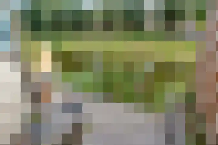 Meldedonk 23 Spijkenisse thumbnail 19