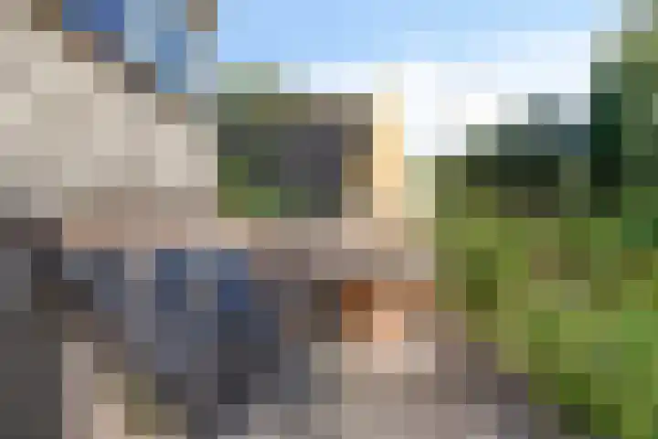 Meldedonk 23 Spijkenisse thumbnail 20