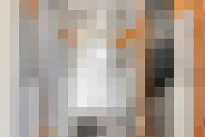 Meldedonk 23 Spijkenisse thumbnail 21