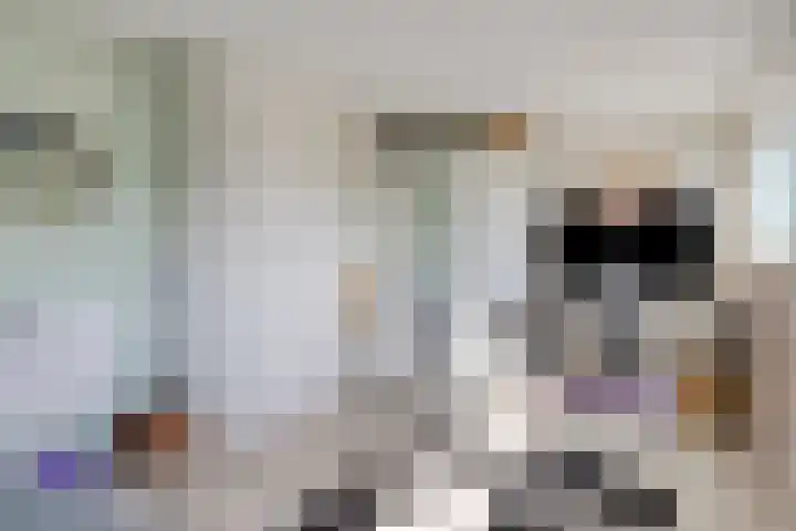 Meldedonk 23 Spijkenisse thumbnail 30