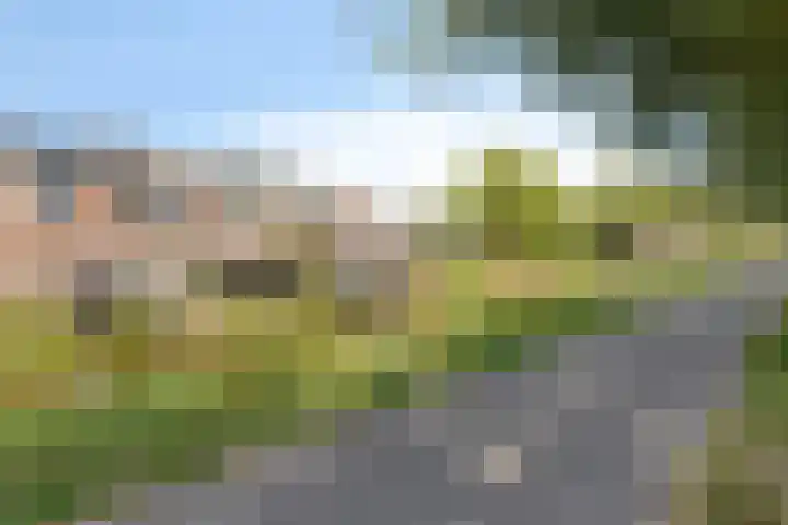 Meldedonk 23 Spijkenisse thumbnail 33