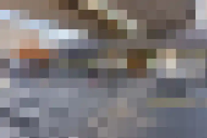 Meldedonk 23 Spijkenisse thumbnail 36