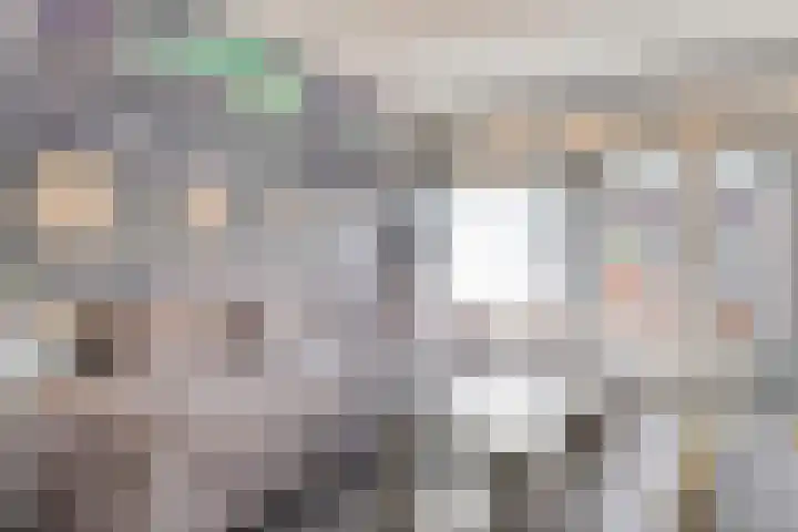 Meldedonk 23 Spijkenisse thumbnail 9