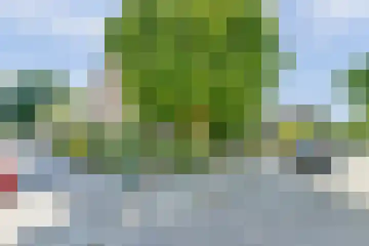 Meldepad 2 Hoogvliet Rotterdam thumbnail 16