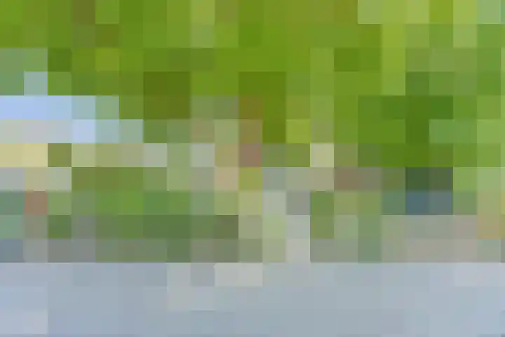 Meldepad 2 Hoogvliet Rotterdam thumbnail 18