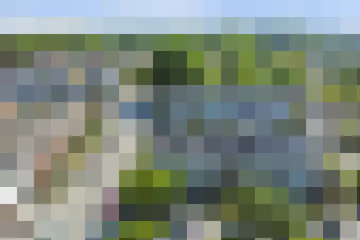 Meldepad 2 Hoogvliet Rotterdam thumbnail 19