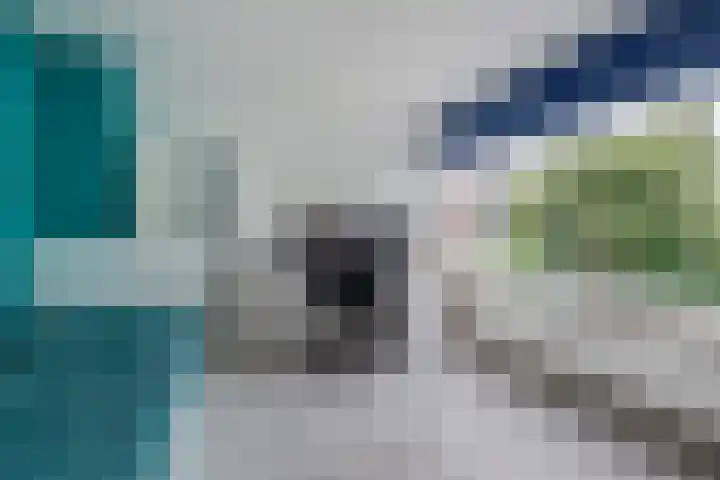 Meldepad 4 Hoogvliet Rotterdam thumbnail 10