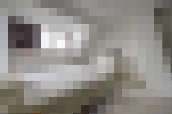 Meldepad 4 Hoogvliet Rotterdam thumbnail 18