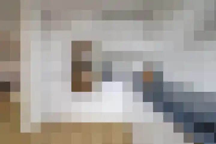 Meldepad 4 Hoogvliet Rotterdam thumbnail 6