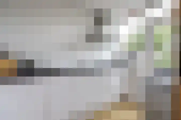 Meldepad 4 Hoogvliet Rotterdam thumbnail 7