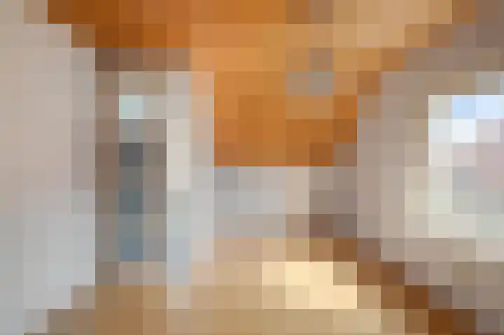Meldijk 13 Uitgeest thumbnail 22