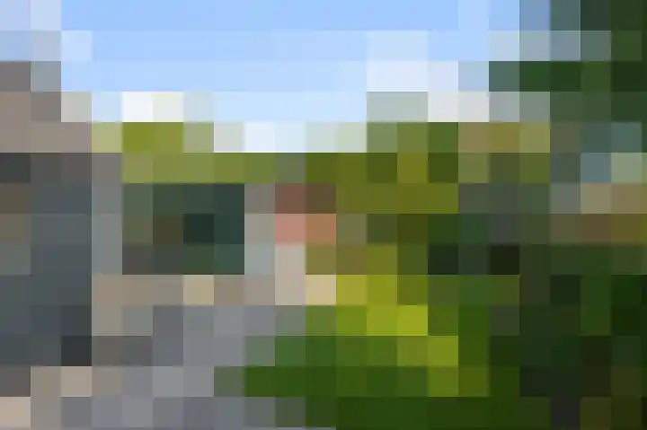 Meldijk 13 Uitgeest thumbnail 28