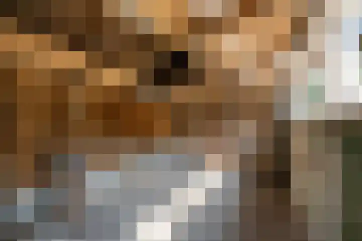 Meldijk 13 Uitgeest thumbnail 31