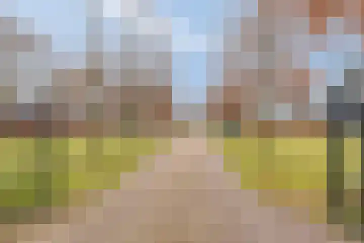 Melegardeweg 9 Zeddam thumbnail 5