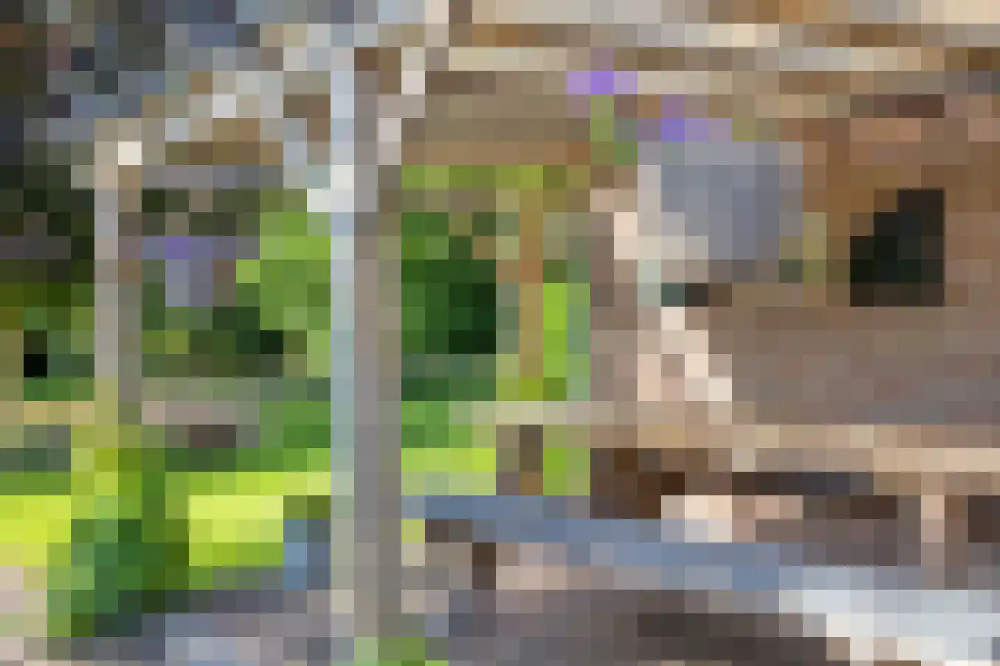 Melegardeweg 9 Zeddam thumbnail 6