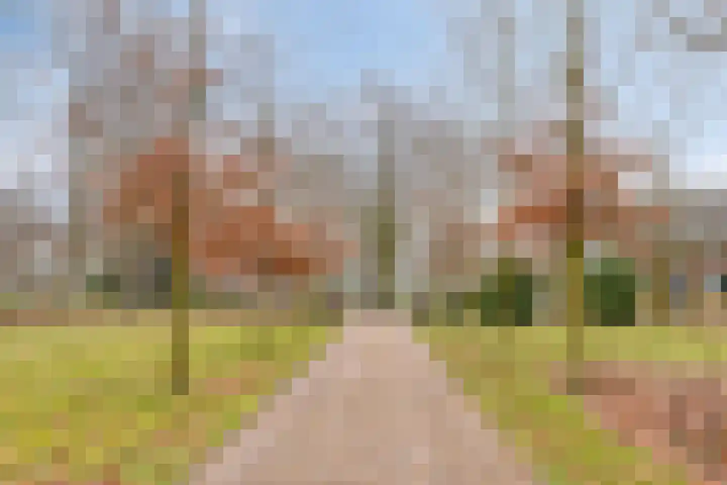 Melegardeweg 9 Zeddam thumbnail 6