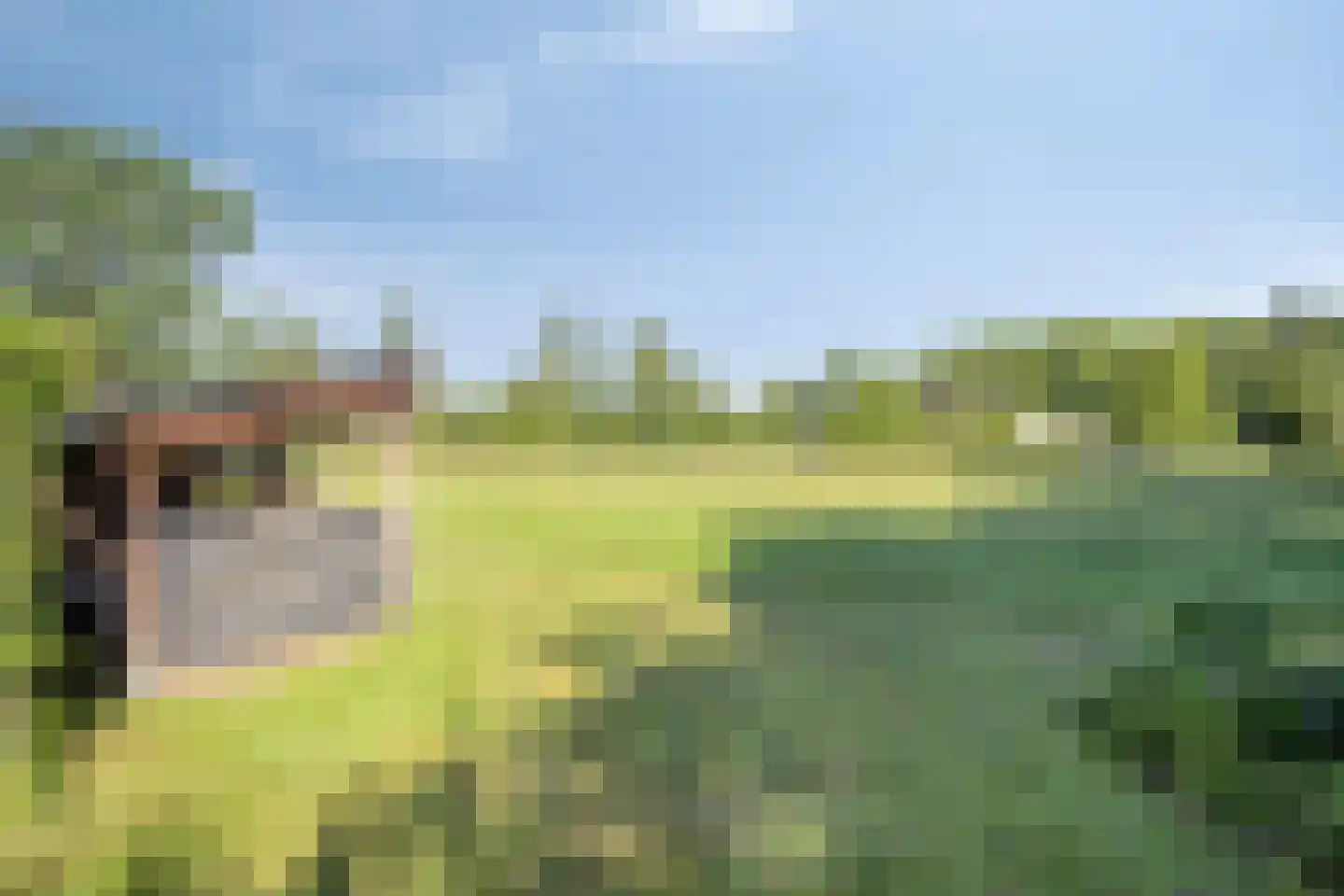 Melegardeweg 9 Zeddam thumbnail 7