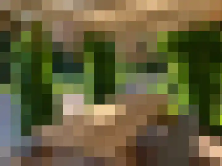 Melegardeweg 9 Zeddam thumbnail 77