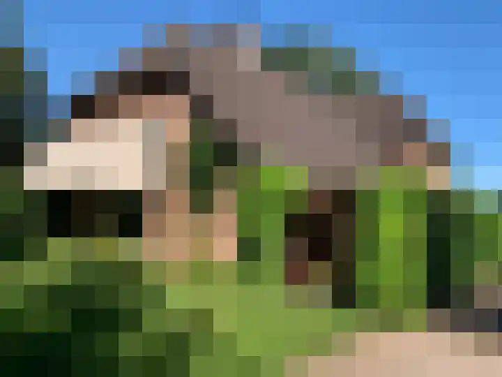 Melegardeweg 9 Zeddam thumbnail 81