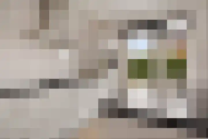 Melenhorst 22 Losser thumbnail 11