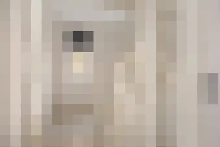 Melenhorst 22 Losser thumbnail 24