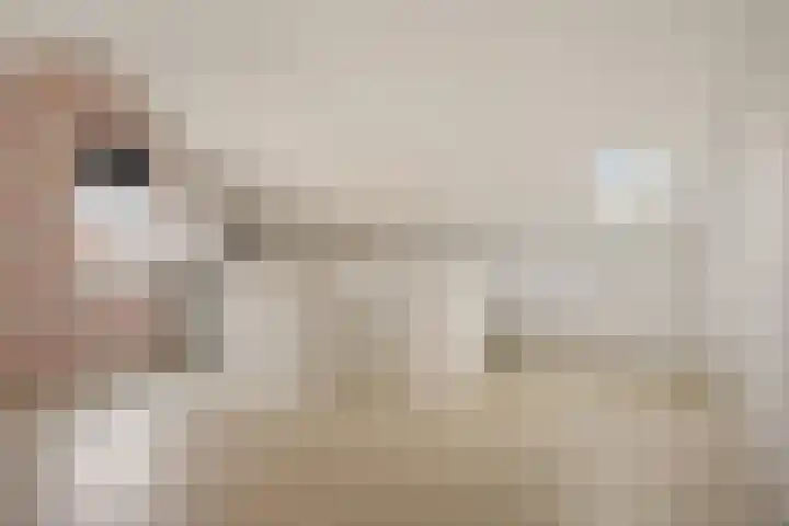 Melenhorst 22 Losser thumbnail 25