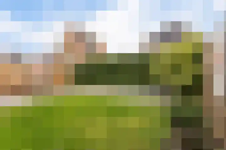 Melenhorst 22 Losser thumbnail 29