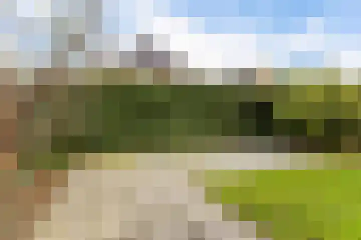 Melenhorst 22 Losser thumbnail 30